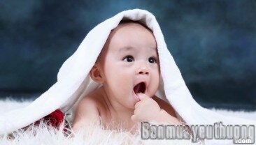 "Mút tay".... món ngon m�i ngà y của con